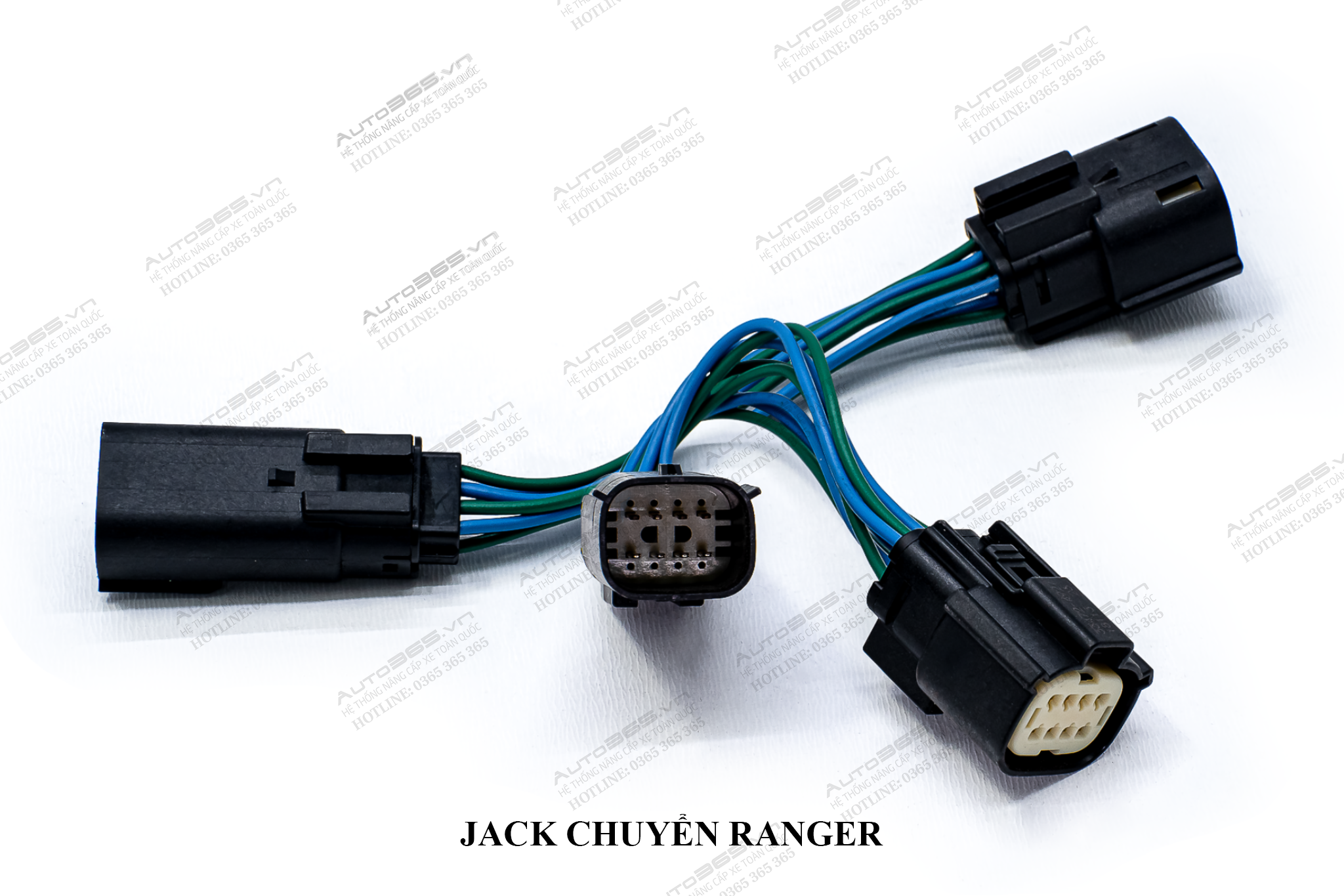 JACK RANGER